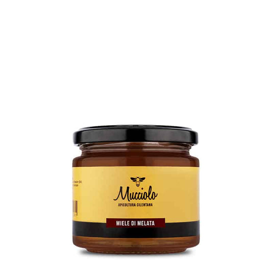 Waldhonig - Il Miele di Melata 250g