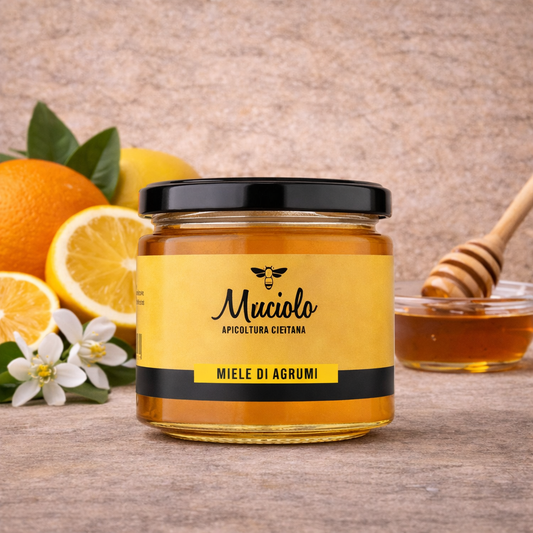 Zitrushonig - Miele Di Agrumi 250g
