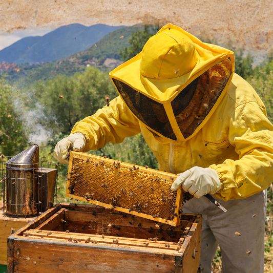 Blütenhonig - Miele Millefiori 250g